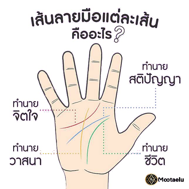 ดูลายมือ พร้อมความหมายแบบเจาะลึก